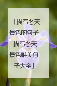 描写冬天景色的句子 描写冬天景色唯美句子大全