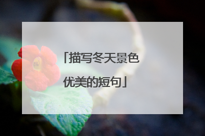 描写冬天景色优美的短句