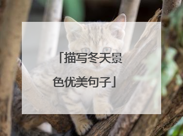 描写冬天景色优美句子