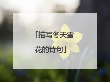 描写冬天雪花的诗句