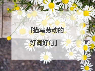 描写劳动的好词好句