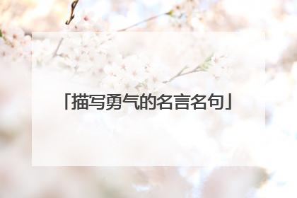 描写勇气的名言名句