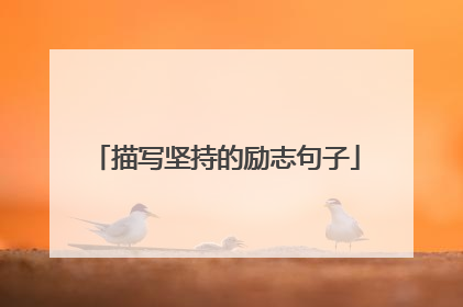 描写坚持的励志句子