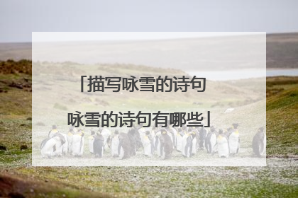 描写咏雪的诗句 咏雪的诗句有哪些