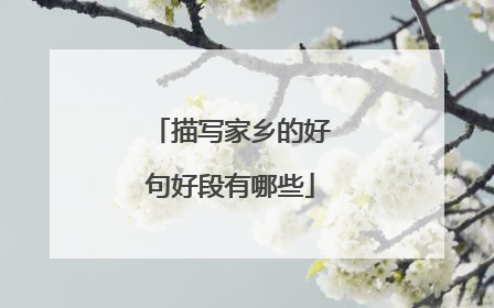 描写家乡的好句好段有哪些