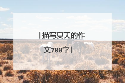 描写夏天的作文700字