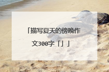 描写夏天的傍晚作文300字「」