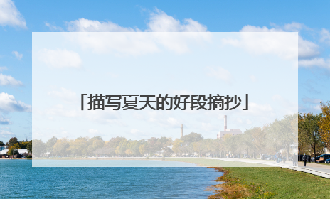 描写夏天的好段摘抄