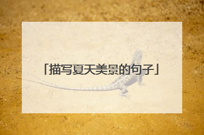 描写夏天美景的句子