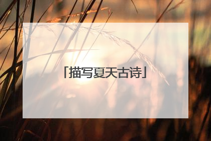 描写夏天古诗