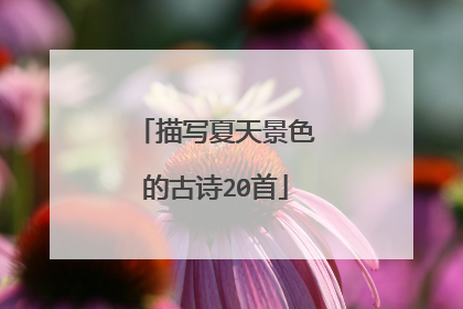 描写夏天景色的古诗20首