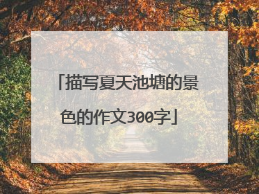 描写夏天池塘的景色的作文300字