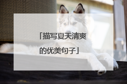 描写夏天清爽的优美句子
