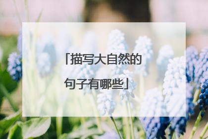 描写大自然的句子有哪些