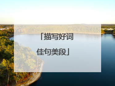 描写好词佳句美段