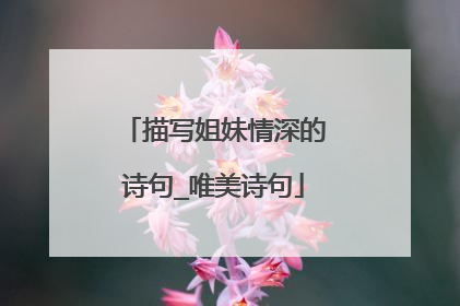 描写姐妹情深的诗句_唯美诗句