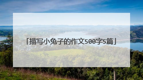 描写小兔子的作文500字5篇