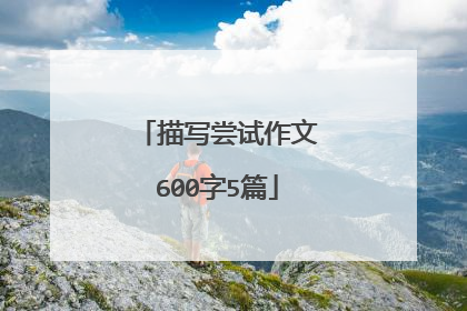 描写尝试作文600字5篇