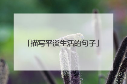 描写平淡生活的句子