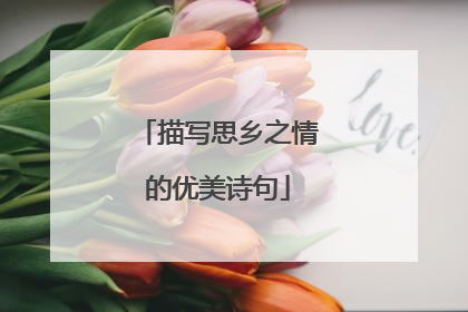 描写思乡之情的优美诗句