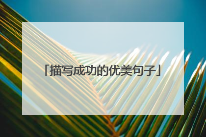 描写成功的优美句子