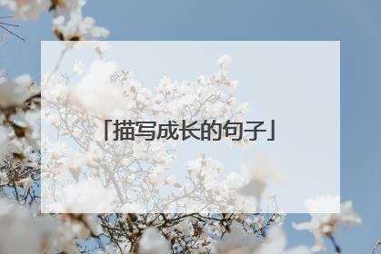 描写成长的句子