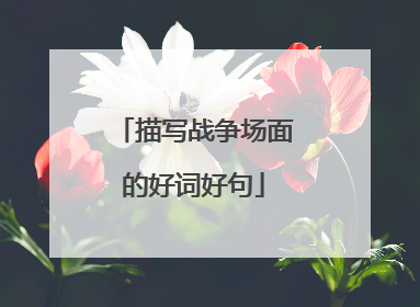 描写战争场面的好词好句