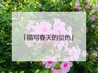 描写春天的景色