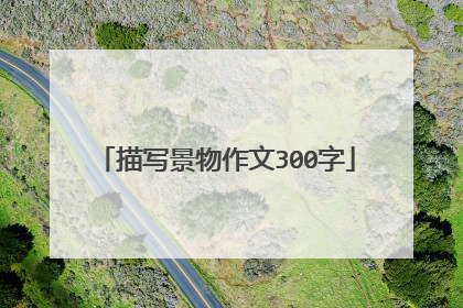 描写景物作文300字