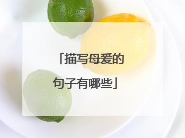 描写母爱的句子有哪些