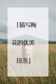 描写梅花的优美段落