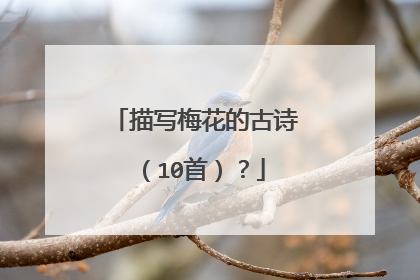 描写梅花的古诗（10首）？