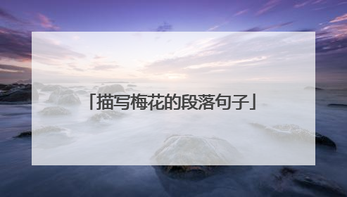 描写梅花的段落句子