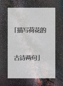 描写荷花的古诗两句