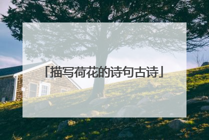 描写荷花的诗句古诗