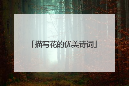描写花的优美诗词