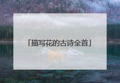 描写花的古诗全首