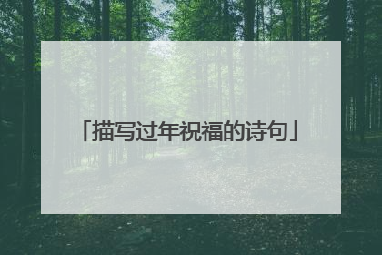 描写过年祝福的诗句