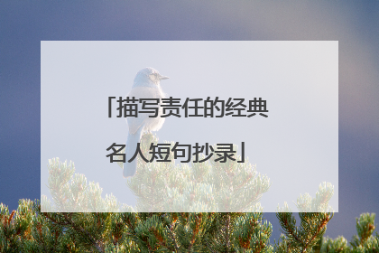 描写责任的经典名人短句抄录