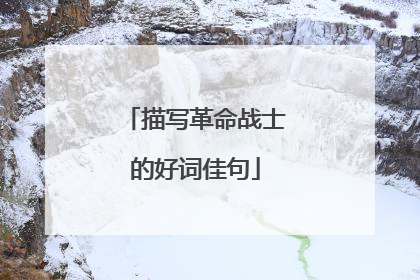 描写革命战士的好词佳句