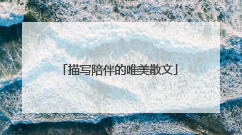 描写陪伴的唯美散文