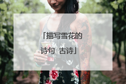 描写雪花的诗句 古诗