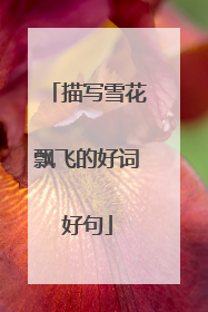 描写雪花飘飞的好词好句
