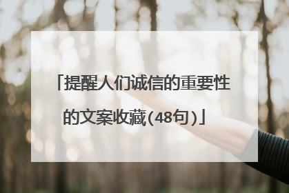 提醒人们诚信的重要性的文案收藏(48句)