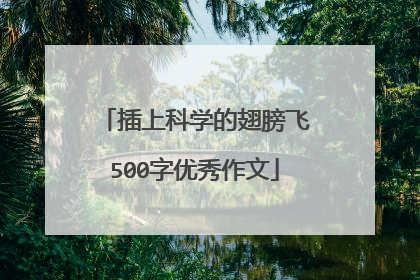 插上科学的翅膀飞500字优秀作文