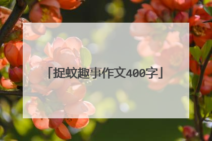 捉蚊趣事作文400字