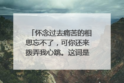 怀念过去痛苦的相思忘不了，可你还来拨弄我心跳。这词是哪首歌里面的！