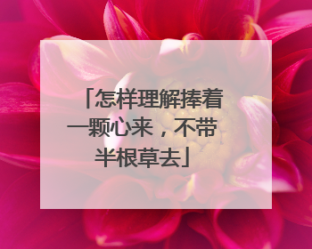 怎样理解捧着一颗心来,不带半根草去