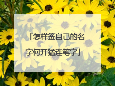 怎样签自己的名字何开猛连笔字