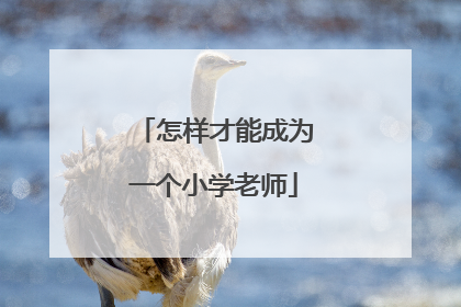 怎样才能成为一个小学老师